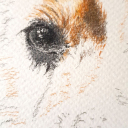 Ganske enkel tegning av hunden vår.Jeg startet med å skissere omtrentlig hvordan hunden ser ut. Tar selvsagt litt tid å plassere linjer der hvor de hører hjemme, men dog, noe feil er ikke så farlig.Jeg synes det er greit å starte med et øye, slik at jeg føler det er noe fast å forholde meg til.Deretter litt detaljer ved øye, slik at det ser bedre ut.Neste øye og deretter nesen er fornuftig synes jeg. Det er kanskje smart å legge til noen av detaljene i mellom disse som en form for kontroll at avstandene er omtrentlig riktig.Pels er bare å begi seg ut på, og før du vet det, vips så er du ferdig. 😉PS, i gamle dager brukte jeg et bilde av motivet. Nå bruker jeg bare et nettbrett å titte på.