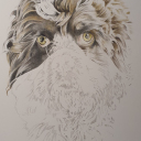 Legger til så de detaljene som skal til.