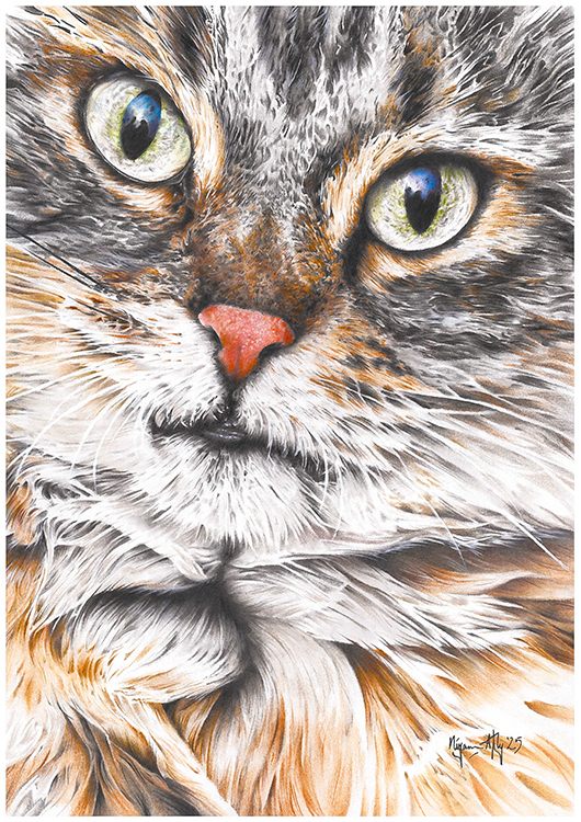 Følte en forpliktelse til å tegne en katt også...