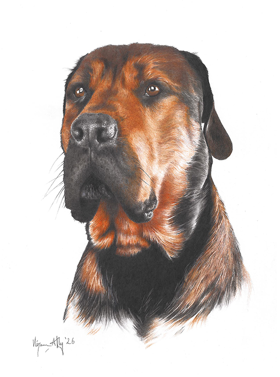 Litt vrient å få riktig brun farge, men det gikk.