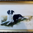 Sayo, hunden våres over mange år. Tenker ofte på deg.